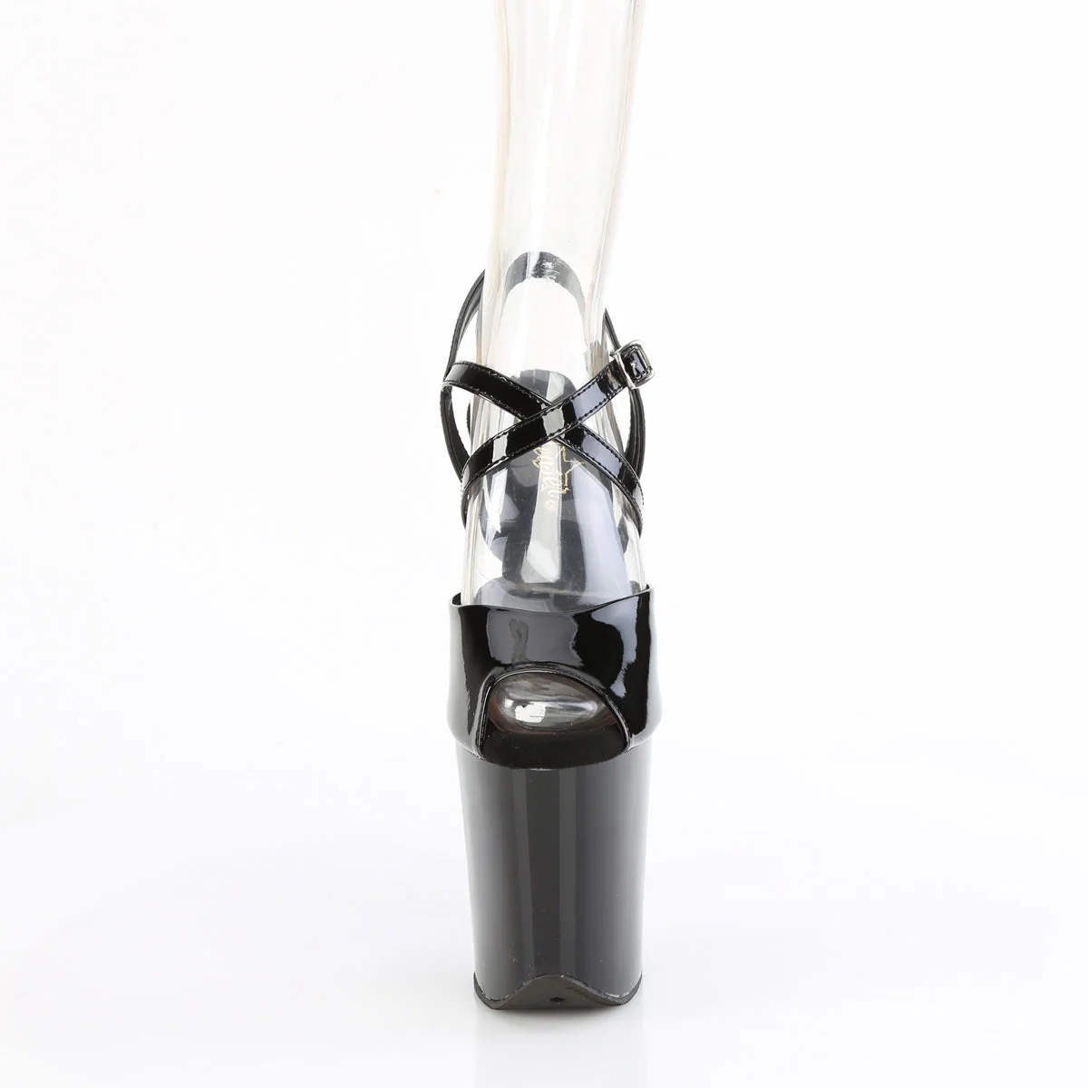 Flamingo-824 3 Flamingo-824