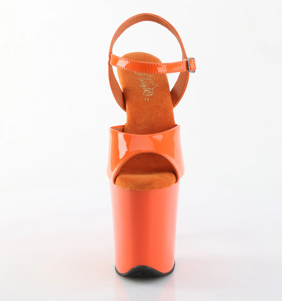 Flamingo-809 3 Flamingo-809
