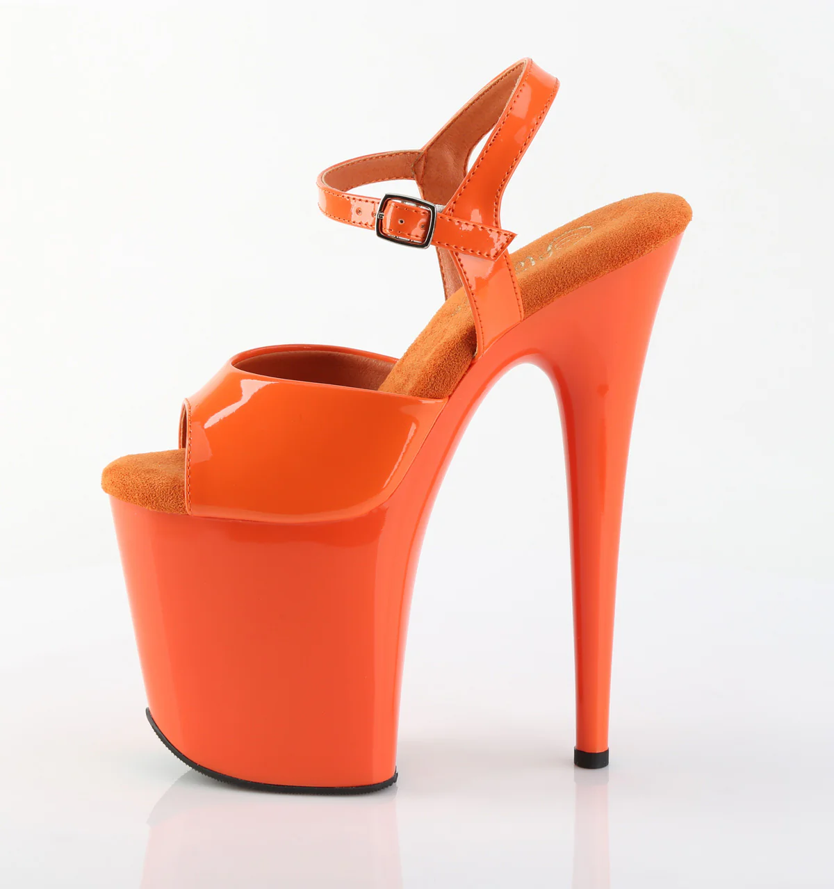 Flamingo-809 4 Flamingo-809