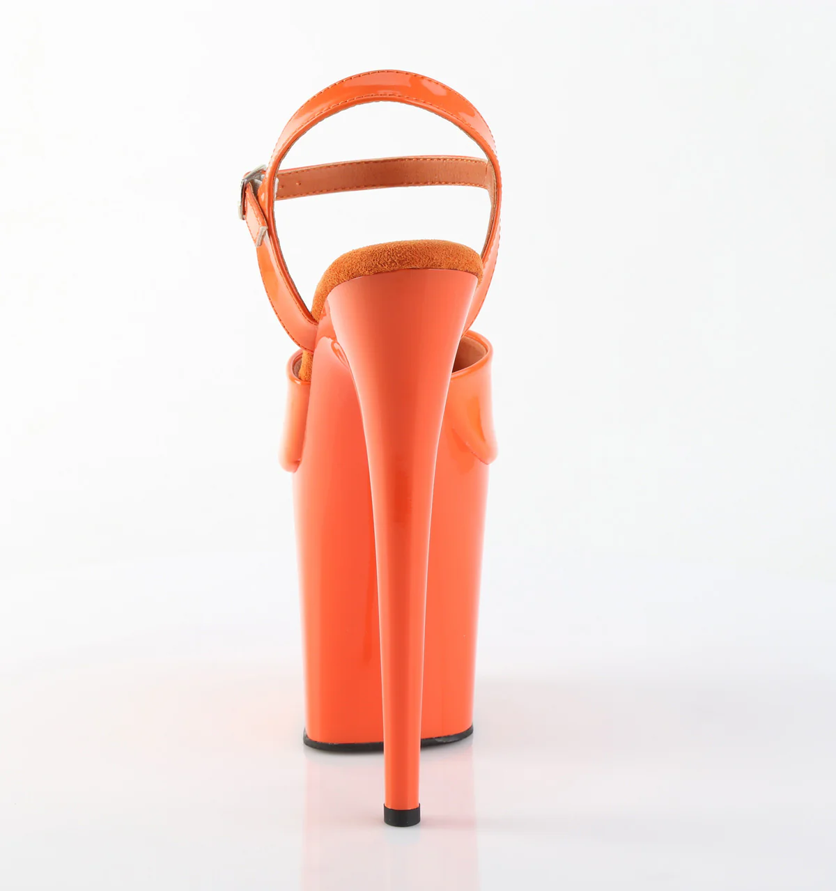 Flamingo-809 5 Flamingo-809